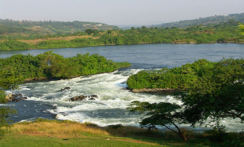 THE NILE 